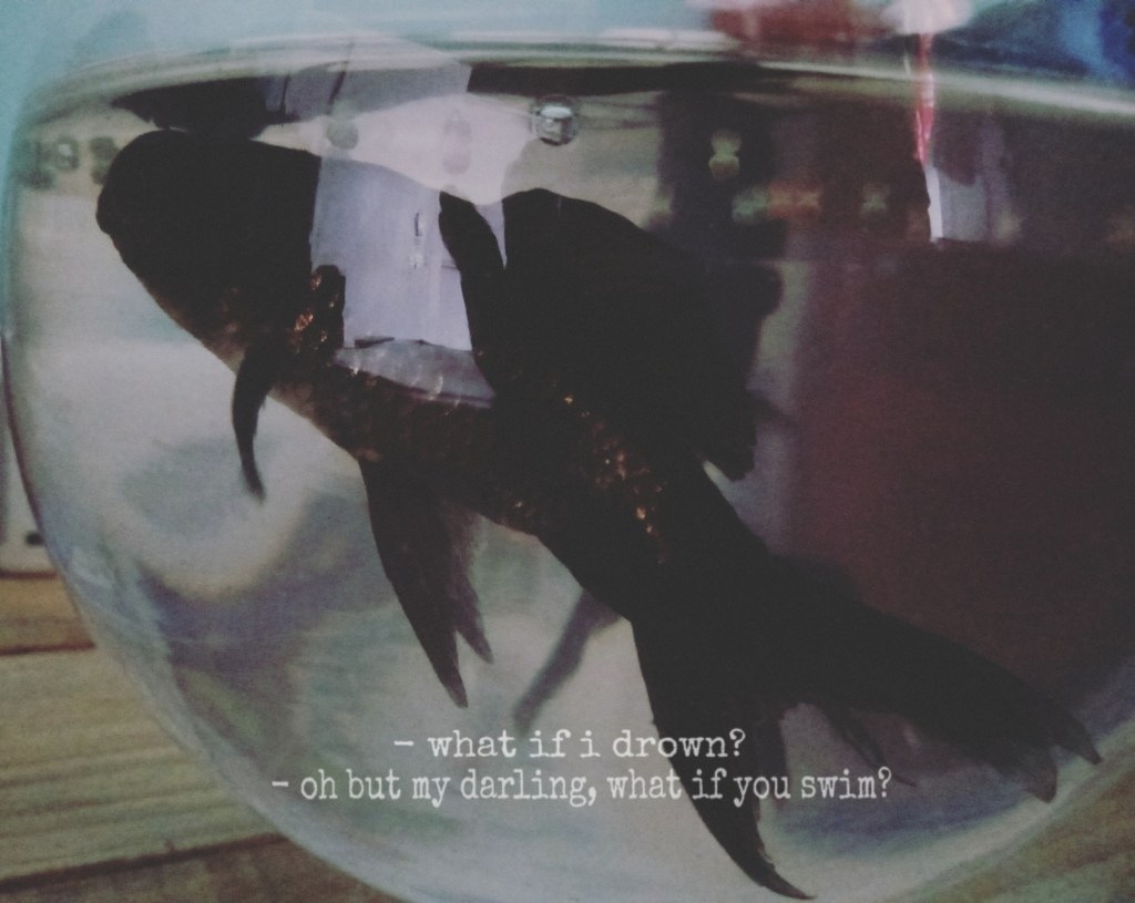 Get out of your comfort zone (introvert&nbsp;version)